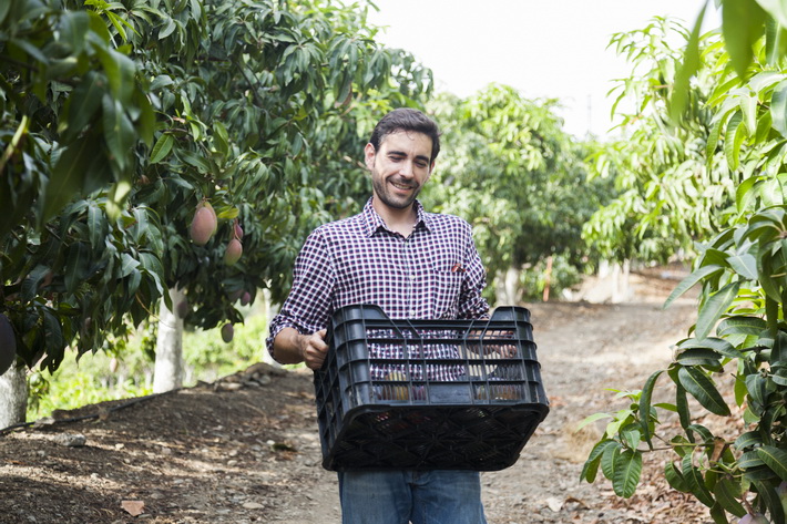 “La Costa Tropical tiene frutas que la mayoría no sabe que se cultivan en Europa”